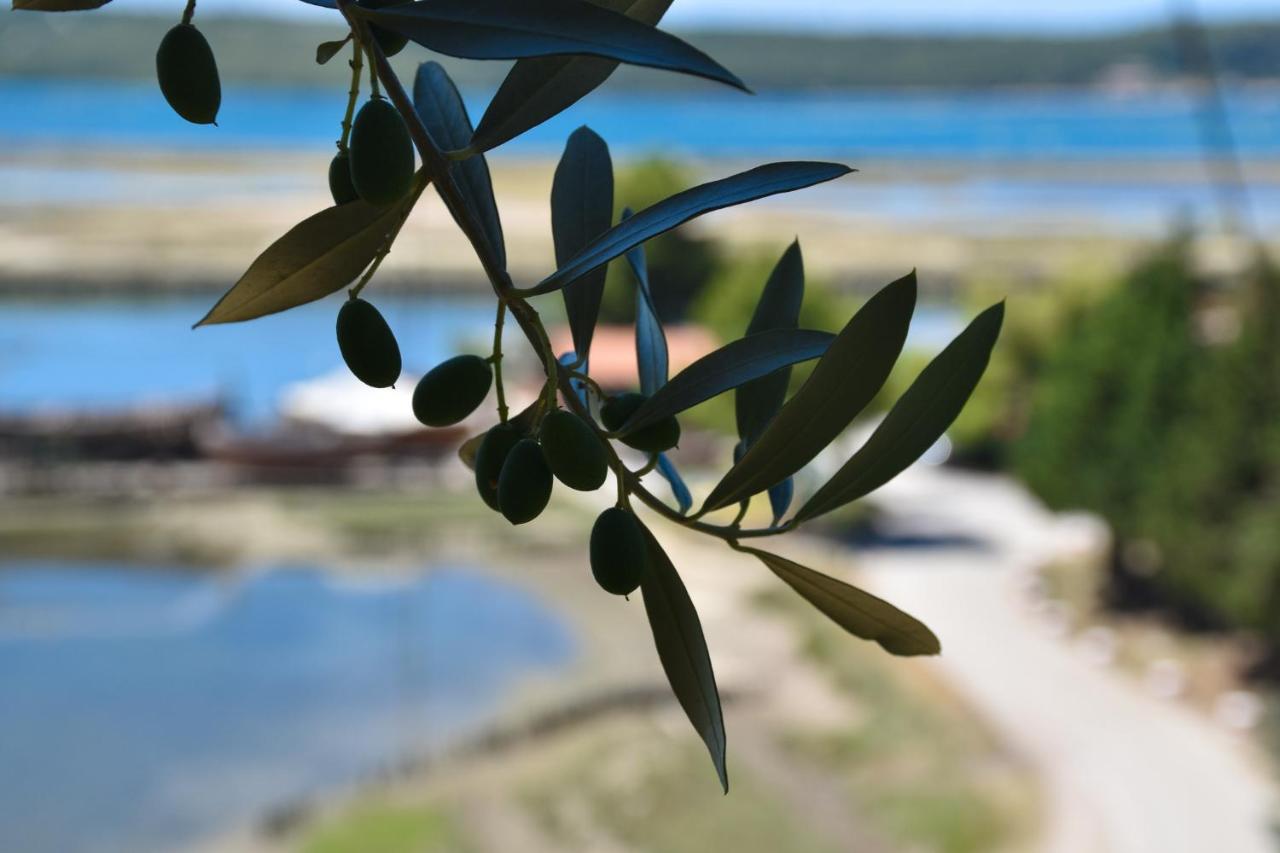 בפורטורוז Olive Garden & Sea Apartments מראה חיצוני תמונה