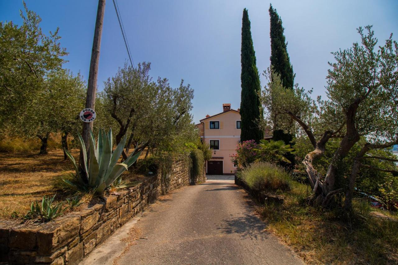 בפורטורוז Olive Garden & Sea Apartments מראה חיצוני תמונה