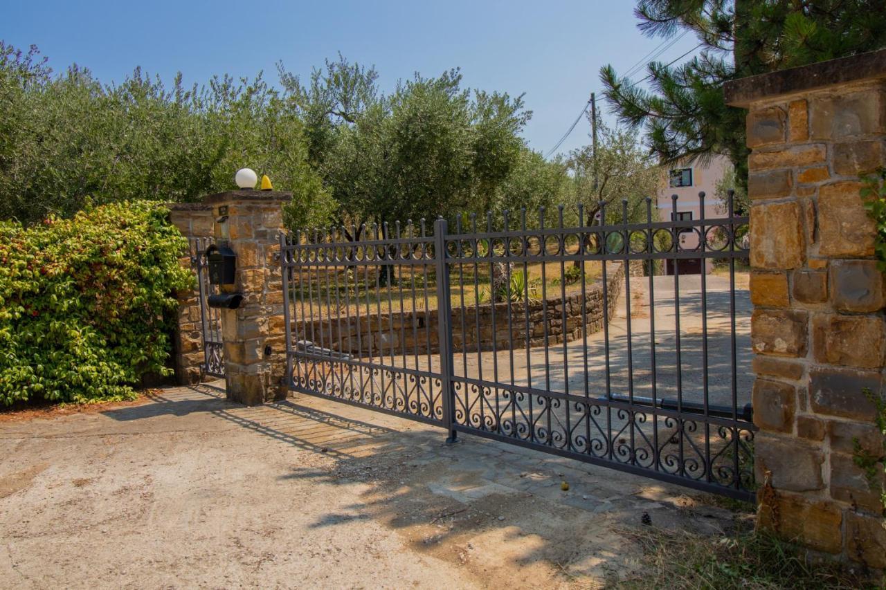 בפורטורוז Olive Garden & Sea Apartments מראה חיצוני תמונה